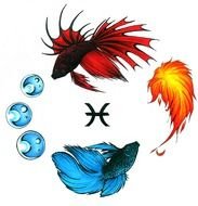 Pisces Tattoo Designs drawing