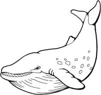 Whale Coloring Page drawing