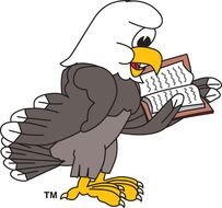 Bald Eagle Cartoon N10