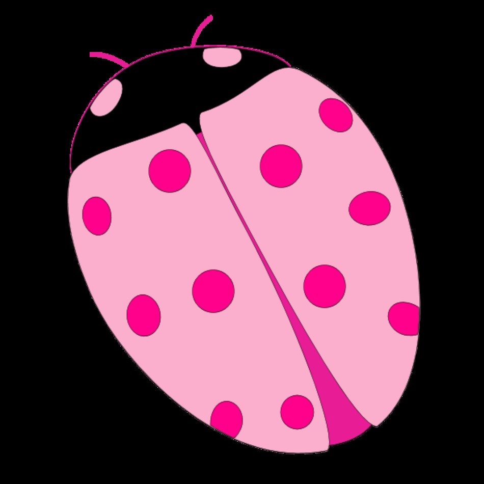 Pink Ladybug Clip Art N24