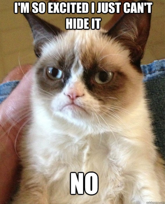 Grumpy Cat Meme N5