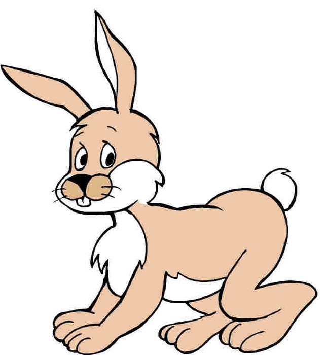 Rabbit Clip Art N74