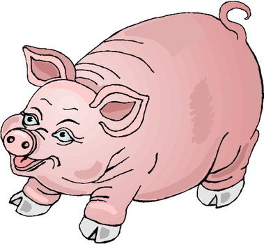 Cartoon Pig N15