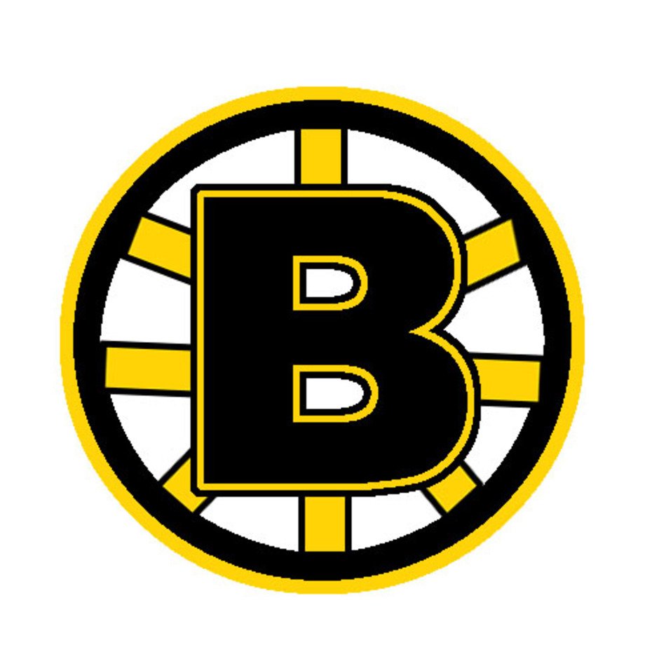 Boston Bruins Logo N11