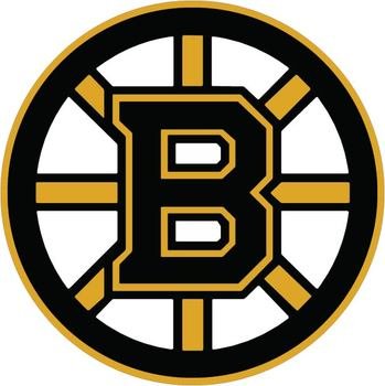 Boston Bruins Logo N13