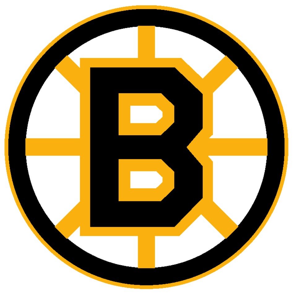 Boston Bruins Logo N16