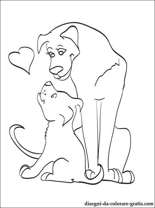 Una Coppia Di Cani In Amore