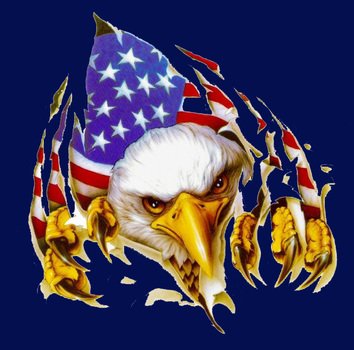 American Eagle Graphics