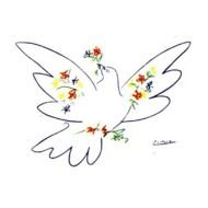 Picasso Dove