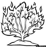 Moses Burning Bush Coloring Pages