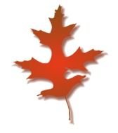 painted brown oak leaf on a white background