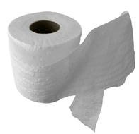 Toilet Paper N3