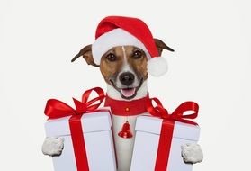 Dog in santa hat holds Christmas Presents, digital art