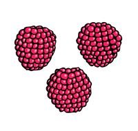 Raspberry Face Clip Art