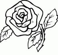 Mothers Day Flowers Coloring Pages N2