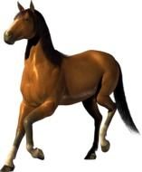 brown horse figurine on a white background