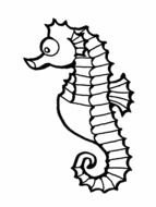 Sea Animals Coloring Page drawing