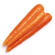 Carrot as a picture for clipart