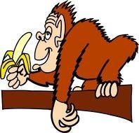 Cartoon monkey with the banana on the tree as a clipart