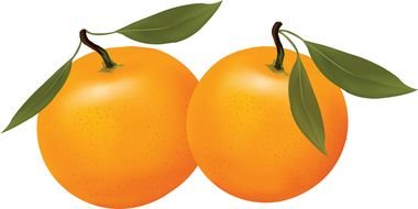 Orange Clip Art N62