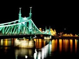illuminated Liberty Bridge in front of City Skyline At Night, hungary, budapest