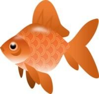 Gold Fish Clip Art N16