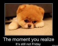 Funny Its Friday Meme