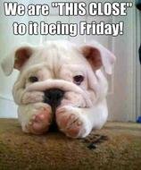 Its Almost Friday Meme