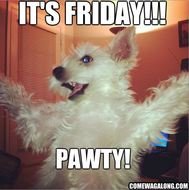 TGIF Its Friday