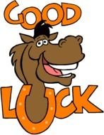 good luck horse show