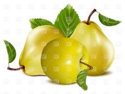 Pear Clip Art N47