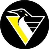 Pittsburgh Penguins Logo N13
