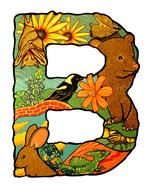 Ä°llustration of Letter B