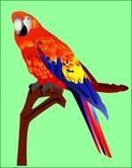 Other Tropical Designs darwing