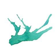 Watercolor Splash green drawing