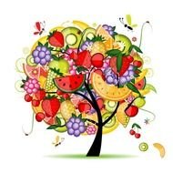 Fruit Tree Clip Art drawing