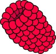 Red Raspberry Clip Art N3