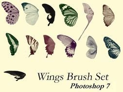Fairy Wings Photoshop Brushes Free