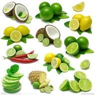 clipart of the a lot of fruits