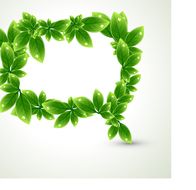 frame of green leaves with drops of water