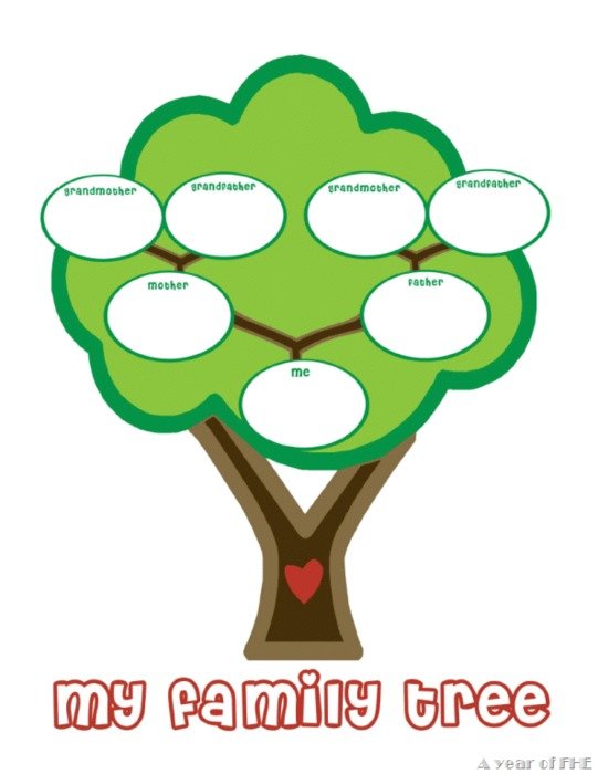 Family Tree Template N13