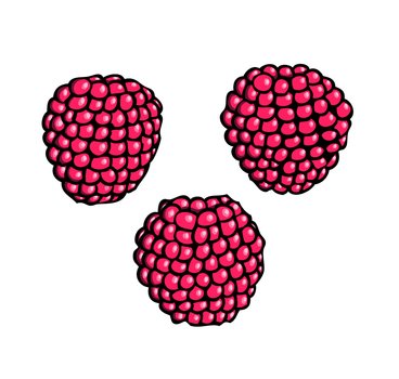 Raspberry Face Clip Art