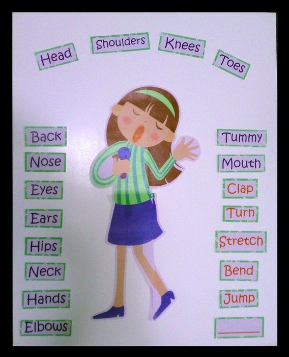 Head Shoulders Knees And Toes Clip Art N3