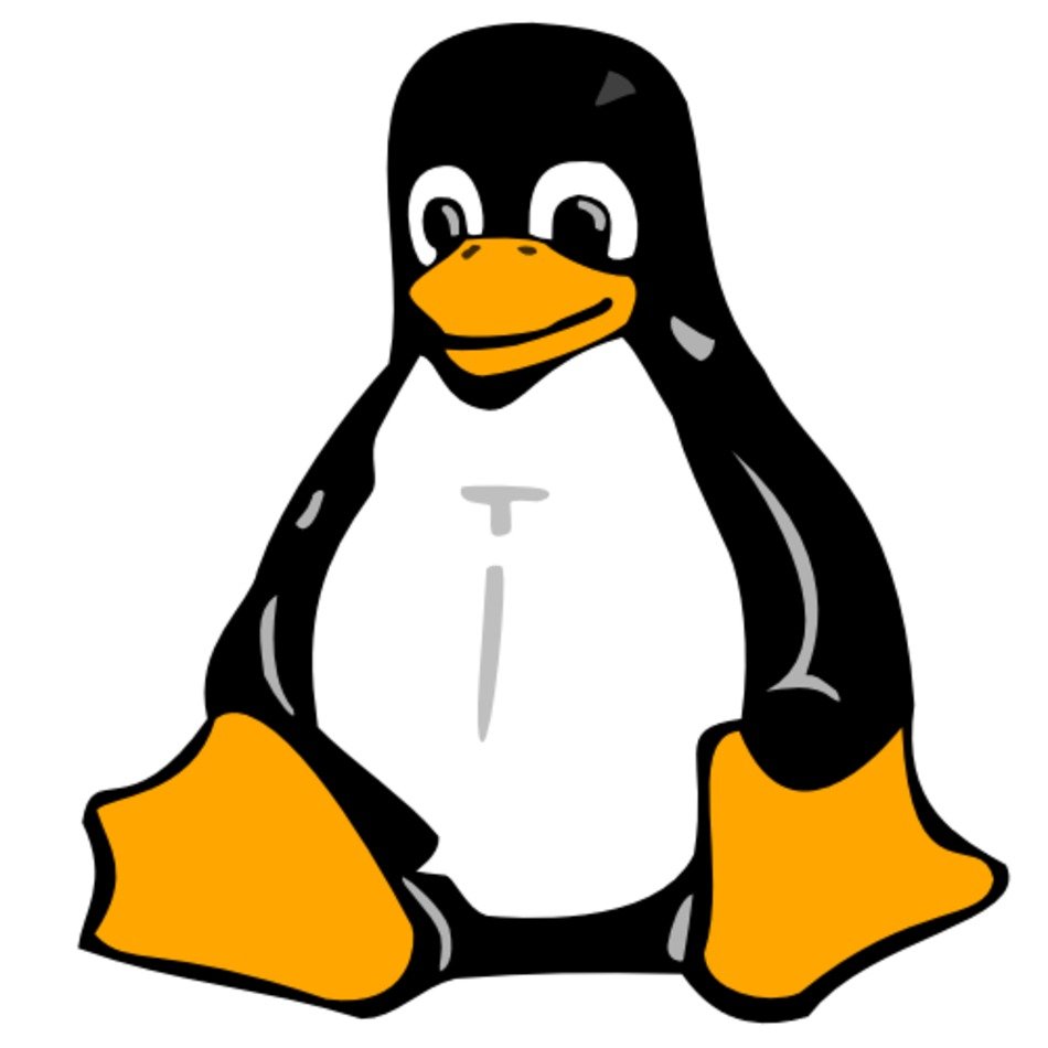 Penguin Clip Art N112