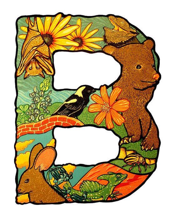 İllustration of Letter B