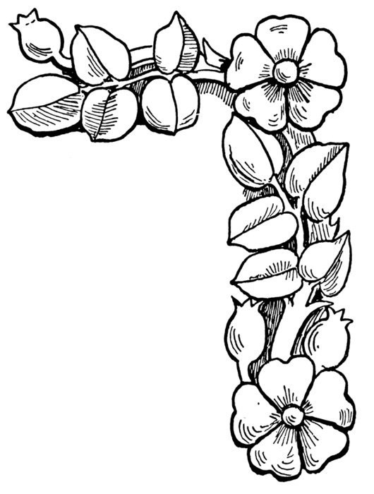 Flower Clip Art Coloring Pages N6