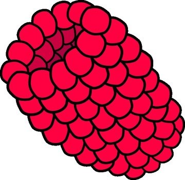 Red Raspberry Clip Art N3