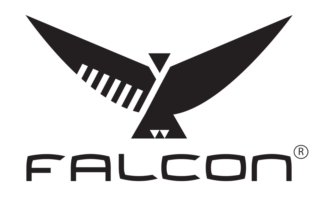 Falcons Logo Drawing Free Image Download