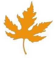 Maple Leaf Template Printable N2
