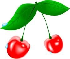 red Cherry Clip Art drawing